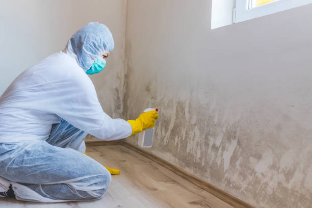 Mold Remediation specialist working in Battletown
